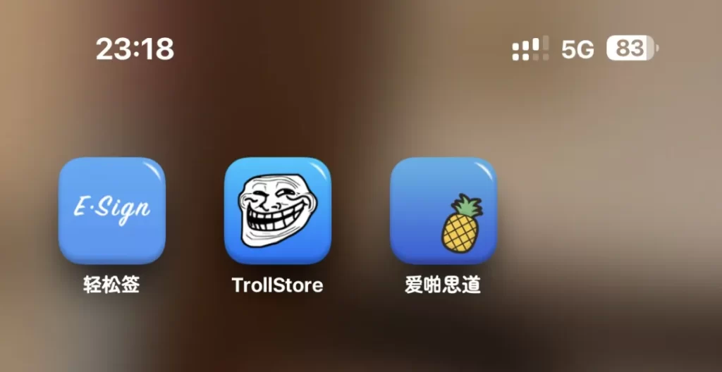 图片[2]-Asspp爱啪思道～第三方侧载AppStore应用商店，支持巨魔和自签，无需越狱-小昕官网