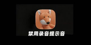禁用通话录音提示音来了！支持 iOS 18.1 -26.1系统-小昕官网